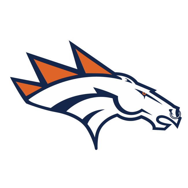 Denver Broncos Heavy Metal Logo DIY iron on transfer (heat transfer)